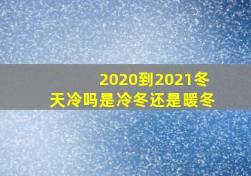 2020到2021冬天冷吗是冷冬还是暖冬