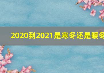 2020到2021是寒冬还是暖冬