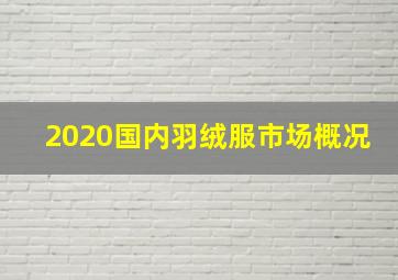 2020国内羽绒服市场概况