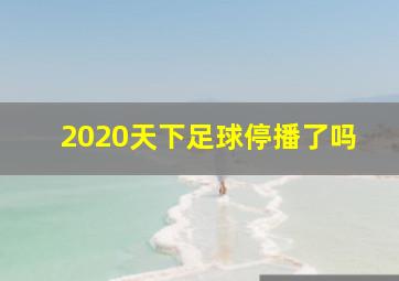 2020天下足球停播了吗