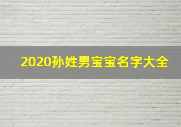 2020孙姓男宝宝名字大全