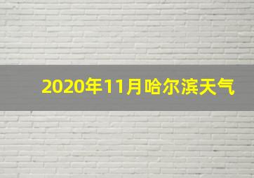 2020年11月哈尔滨天气