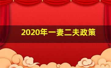 2020年一妻二夫政策