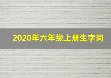 2020年六年级上册生字词