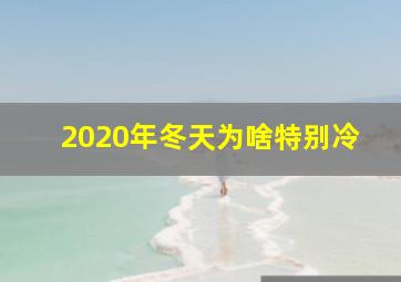 2020年冬天为啥特别冷