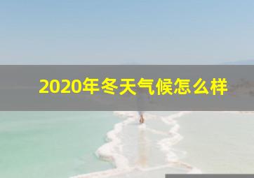 2020年冬天气候怎么样