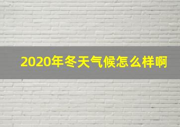 2020年冬天气候怎么样啊