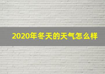 2020年冬天的天气怎么样