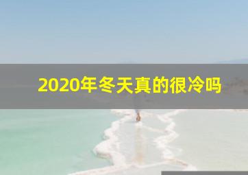 2020年冬天真的很冷吗