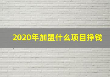 2020年加盟什么项目挣钱