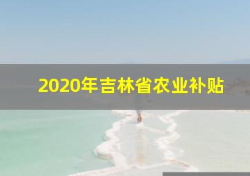 2020年吉林省农业补贴