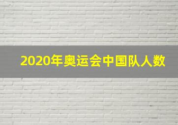 2020年奥运会中国队人数