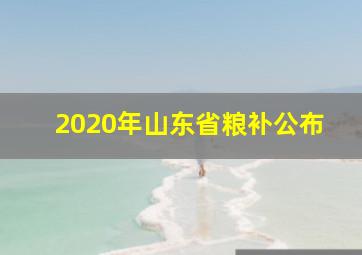 2020年山东省粮补公布