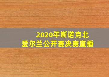 2020年斯诺克北爱尔兰公开赛决赛直播