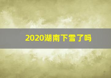 2020湖南下雪了吗