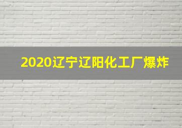 2020辽宁辽阳化工厂爆炸