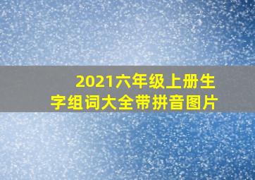 2021六年级上册生字组词大全带拼音图片