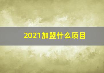 2021加盟什么项目