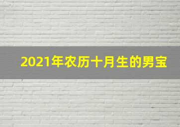 2021年农历十月生的男宝