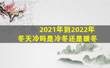 2021年到2022年冬天冷吗是冷冬还是暖冬