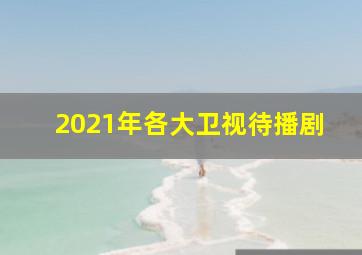 2021年各大卫视待播剧