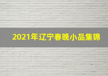 2021年辽宁春晚小品集锦