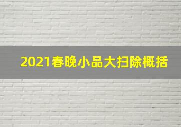 2021春晚小品大扫除概括