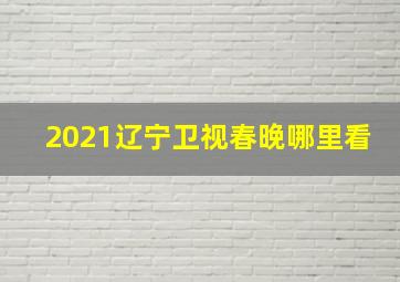 2021辽宁卫视春晚哪里看