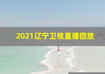 2021辽宁卫视直播回放