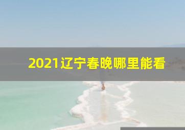 2021辽宁春晚哪里能看