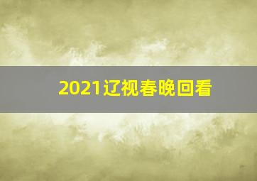 2021辽视春晚回看