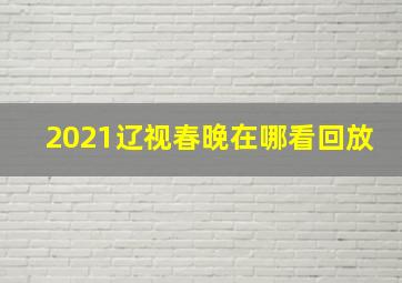 2021辽视春晚在哪看回放