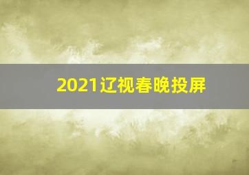 2021辽视春晚投屏