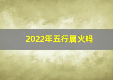 2022年五行属火吗