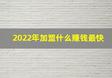 2022年加盟什么赚钱最快