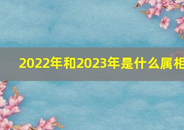 2022年和2023年是什么属相