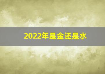 2022年是金还是水