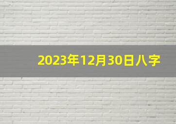 2023年12月30日八字