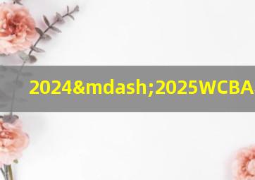 2024—2025WCBA赛前培训