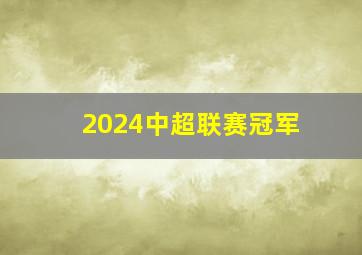 2024中超联赛冠军