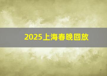 2025上海春晚回放