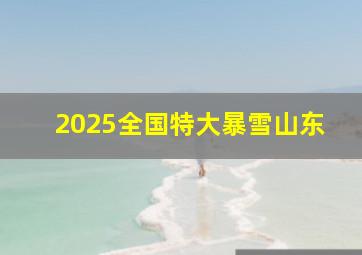 2025全国特大暴雪山东