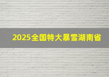 2025全国特大暴雪湖南省