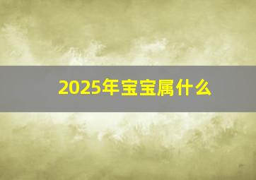 2025年宝宝属什么