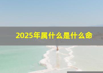 2025年属什么是什么命