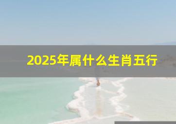 2025年属什么生肖五行