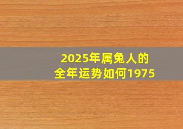 2025年属兔人的全年运势如何1975