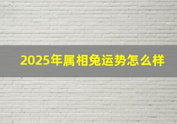 2025年属相兔运势怎么样