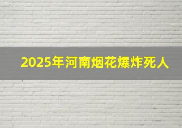 2025年河南烟花爆炸死人