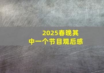 2025春晚其中一个节目观后感